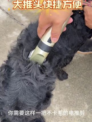 宠物剃毛器#宠物用品 #宠物修剪#科学养宠#萌宠好物