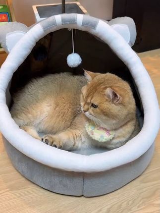 给我家的猫咪换了个窝#四季猫窝 #半封闭猫窝#猫窝狗窝 #保暖猫窝