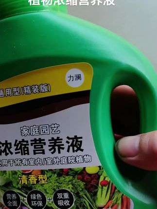 花盆里只要浇上一点这个#浓缩营养液 就能让你的花儿黄叶变绿叶枯枝变粗枝。需要的花有带回去吧。#花卉绿植 #养花小知识 #种植小技巧 #爱生活爱养花