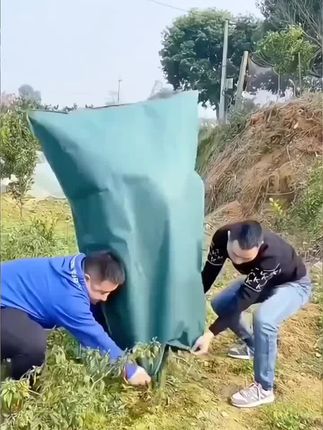 冬季防寒果树罩植物越冬加厚防冻保暖罩过冬工具#抖音推广 #农业种植 #植物防寒罩#农民不易 #我的农村生活
