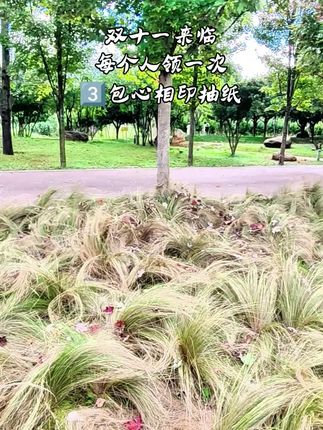 #生活用纸 #生活必备 #挖到宝了 #心相印抽纸终于来啦 #家用纸