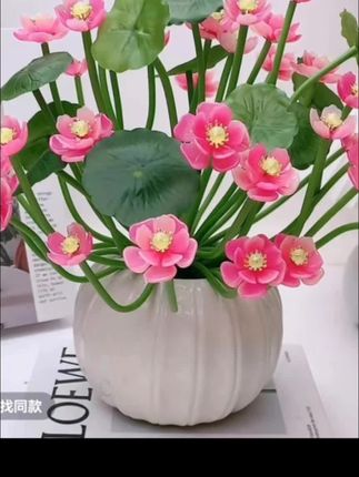 防御款荷花材料包。送花瓶。有喜欢的姐妹说黄车下单。