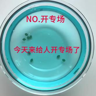 小妹妹你咋这么牛逼克拉斯呢#起泡胶 #冷知识科普 @Similar