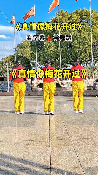 真情像梅花开过#简单易学 #芹姐爱跳舞@DOU+小助手