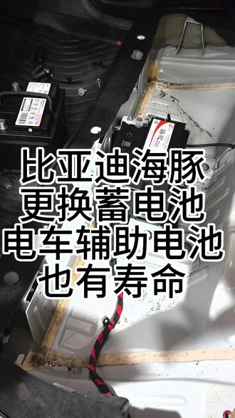 #比亚迪海豚 #蓄电池 #更换电池 #汽车电池更换 #上门安装电瓶 比亚迪海豚无法启动,也无法挂档。大概率是电池寿命到了,更换同样尺寸规格,升级45安骆驼蓄电池,加量不加价,解决问题