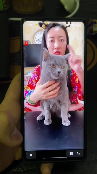 zei招儿确时挺讷#我和我的猫