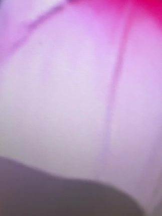 一个V型小抓夹轻松搞定各种发型,快来看看吧!