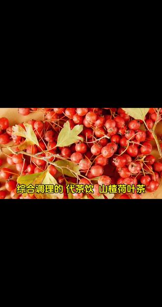 🍵 综合调理的“代茶饮”:山楂荷叶茶#养生 #代茶饮 #