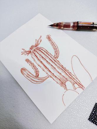 零基础学线描|15分钟画出治愈系花卉🌿
#绘画手绘 #绘画教程 #线描画 #花卉 #每日一画