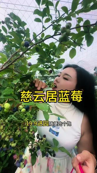 终于等到蓝莓熟了,实现蓝莓自由的时候到了#蓝莓熟啦 #蓝莓熟了新鲜采摘 #亲子采摘园 #蓝莓饮品