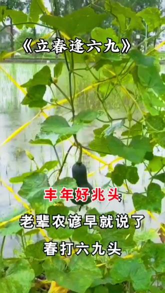 早安心语,立春逢六九。