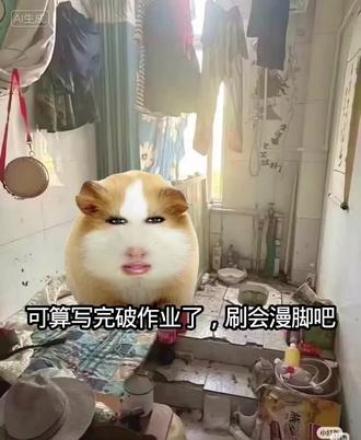 救命啊!猪小美刷到12月22日晚上的快手了😱😱😱