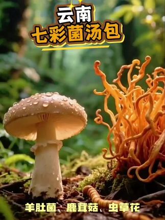 美味可口,份量很足,包装精美,食材新鲜,性价比高,发货快#我在抖音买买买