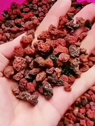 性价比超高的火山石来喽~ #火山石 #火山石颗粒 #鱼缸过滤 #鱼缸里的大自然 #铺面石