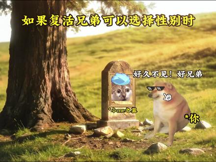 如果复活兄弟可以选择性别#保卫向日葵 #猫meme