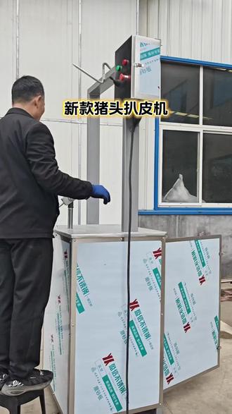 做屠宰老板们看过来新设备——猪头扒皮机,扒猪头皮的,操作简单使用方便。#猪头扒皮机#新品 #猪头去毛设备 #全国发货#屠宰设备