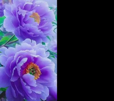 和 @赵小星(唱改编) 一起 #合拍