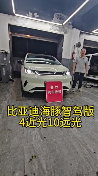 比亚迪海豚大灯升级方案 #比亚迪海豚智驾版大灯升级 #比亚迪海豚大灯升级 #三门峡比亚迪