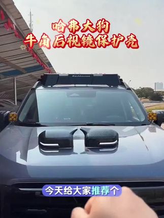 大狗专用牛角后视镜保护壳,装上美观大气,还能保护后视镜不受伤害#哈弗大狗 #专车专用 #牛角后视镜罩 #汽车装饰