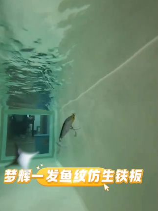 梦辉"一发"鱼纹仿生铁板高锑铅压铸搭载四倍加强钩远投飘落铁板#好物分享 #实物实拍 #钓鱼渔具