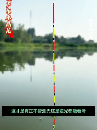 这就是逆光反光都能看得清的水晶尾浮漂 #钓鱼 #浮漂鱼漂 #水晶尾浮漂 #高灵敏浮漂 #小凤仙浮漂