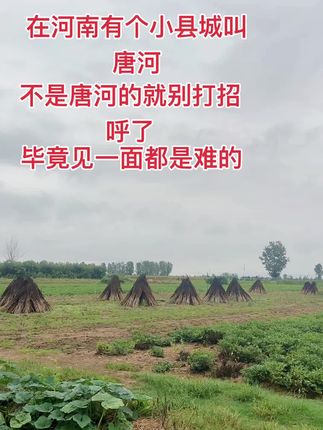 不是唐河的就不要打招呼了,毕竟见一面都是难的……