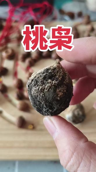 古籍记载,桃枭需要正月采摘,立春采摘的谣言不攻自破
#桃枭 #桃枭原籽 #桃枭挂件 #藏锋阁手工坊