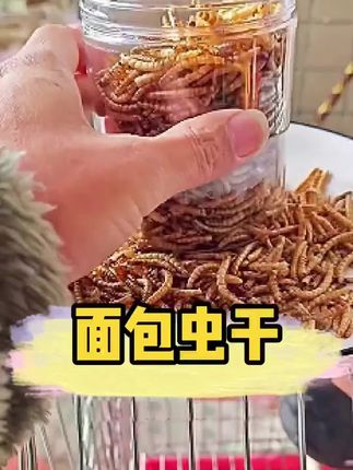 小乌龟🐢幼龟🐢高蛋白营养饲料#好物推荐🔥 #超便宜超划算 #爆款热卖中 #日用百货