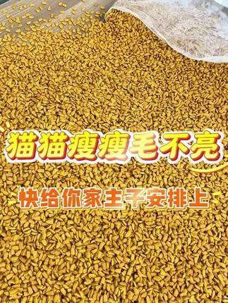 20斤装送猫条情书与猫无谷鲜肉猫粮增肥发腮通用全价全期无冻干#小猫猫粮 #增肥发腮猫粮