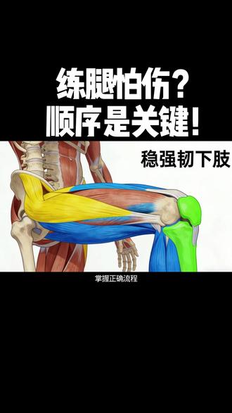 #创作者中心 练腿怕伤?顺序是关键!#练腿不伤技巧 #下肢训练攻略 #新手练腿避坑 #腿部力量训练