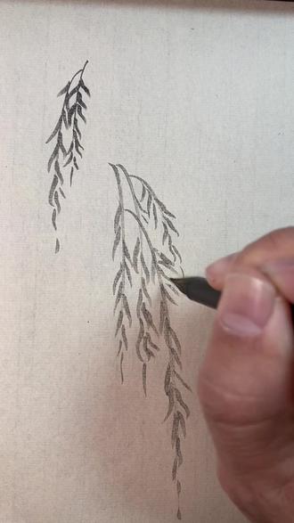 柳树枝叶的画法七#跟着徐老师学国画 #成人国画零基础教学 #宋元山水画教学