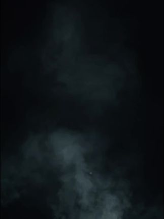 #茶人茶事 #自家茶园 #茶农茶事 #高山茶 #我的乡村生活