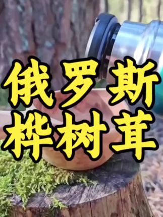 【手工精选】俄罗斯进口桦树茸250g/500g包邮煮水泡水天然#桦树茸#纯天然无添加#精选好物#送礼佳品