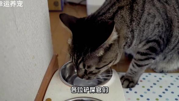 #宠物 #宠物科普知识 #宠物科普