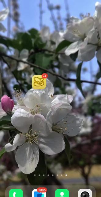 2026金总封装龙教程#金币云商 #金币云商抽签 #中国龙币 抽到高价回收