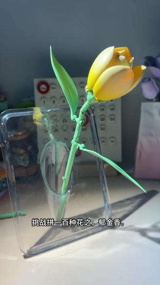 #积木花 挑战拼100朵花之郁金香