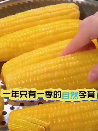 #软糯香甜 #玉米#太好吃了吧 #推荐好物