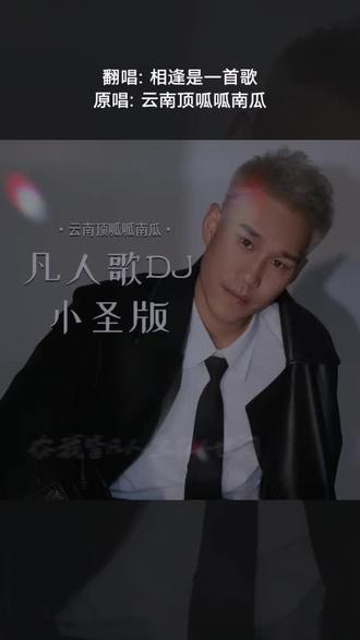 每一首好听的歌曲,都有一段故事 凡人歌(DJ小圣版)(DJ版)#全民k歌 #唱歌不孤单