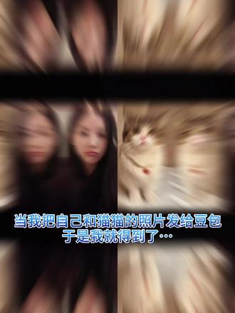 好有爱好喜欢,与猫咪相拥合照ai指令 教程来啦!#豆包p图指令宠物合照指令 ai生成自己和宠物的合照#和宠物合 合照教程来啦!和自家萌宠合照!#豆包P图指令#豆包ai #豆包出大片有两把刷子