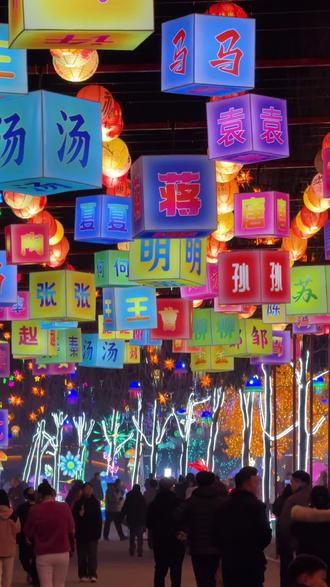 雄安千芳滩灯会 #千芳滩灯会 #郊野公园灯会 #雄安灯会