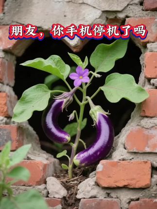 #爱生活爱养花 #爱花爱草爱生活 #你见过吗 #上热门🔥上热门