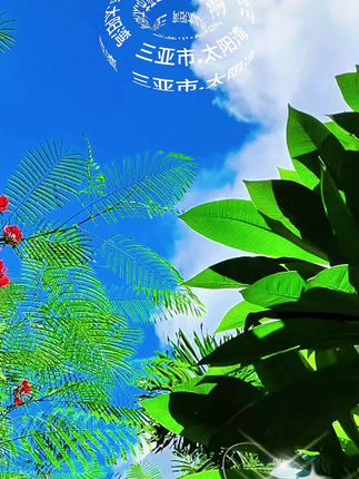 #三亚太阳湾 #旅行记录美好生活 #手机摄影 #自然风光 #兵哥原创视频