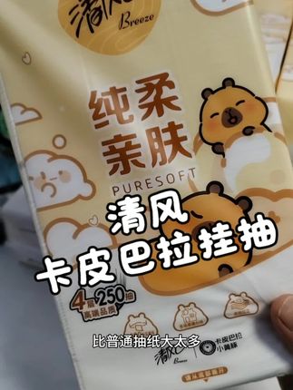 清风卡皮巴拉挂抽#清风 #抽纸 #好物推荐🔥 #好物种草
