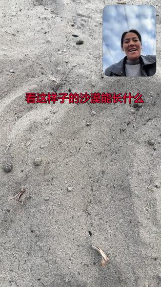 54团李姐姐油莎豆苹果种植
