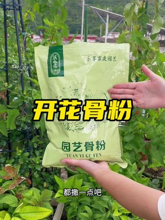 骨粉是高磷高钙的开花肥,家里所有开花结果的植物都需要,每盆撒一勺,就能促进开花结果。#骨粉 #种植小技巧 #养花小知识