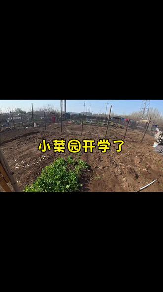 小菜园开种啦 #真实生活分享计划 #种菜 #小菜园建设 #dou+小助手上热门