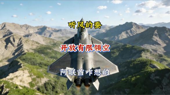 开放有限领空,阿联酋咋想的