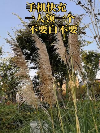 大家都推荐这款充电器,挺划算,一个账号领一单,快领吧