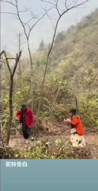 荒野韦山&花花山恋花@荒野韦山 @荒野 韦山(日常号)