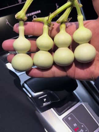 小八宝下架了
